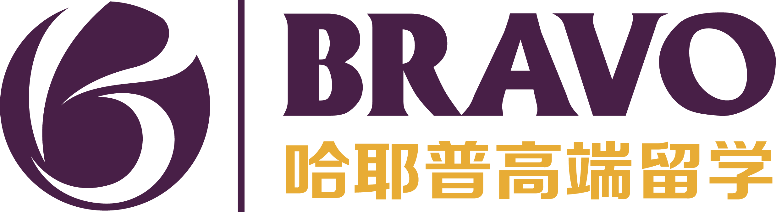 Hayepu Bravo Education